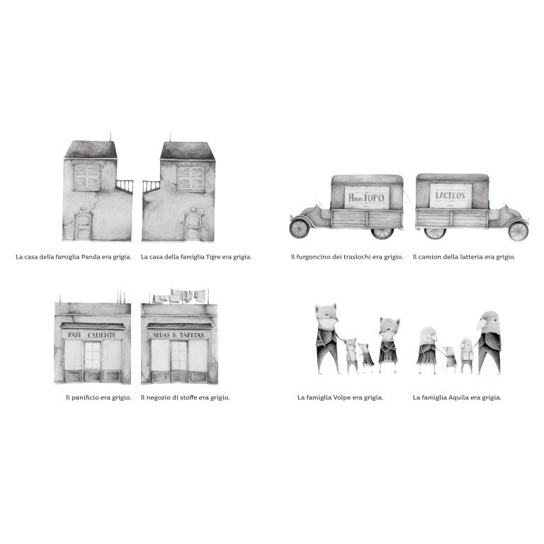 Sassi Editore - Grigio