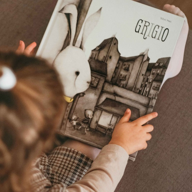 Sassi Editore - Grigio