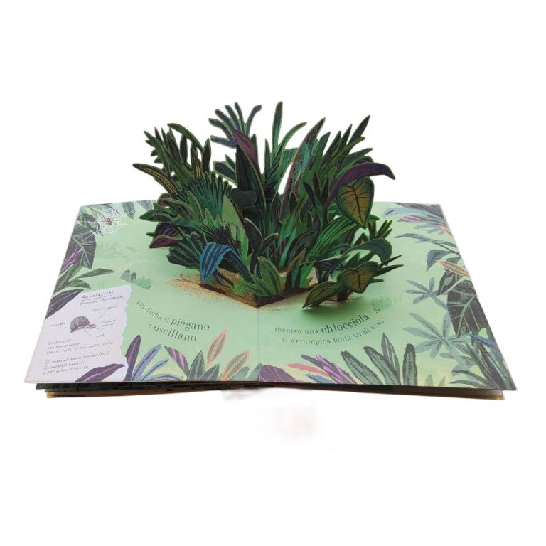 Sassi Yunior Editore - Pop-up della natura. Piccole creature