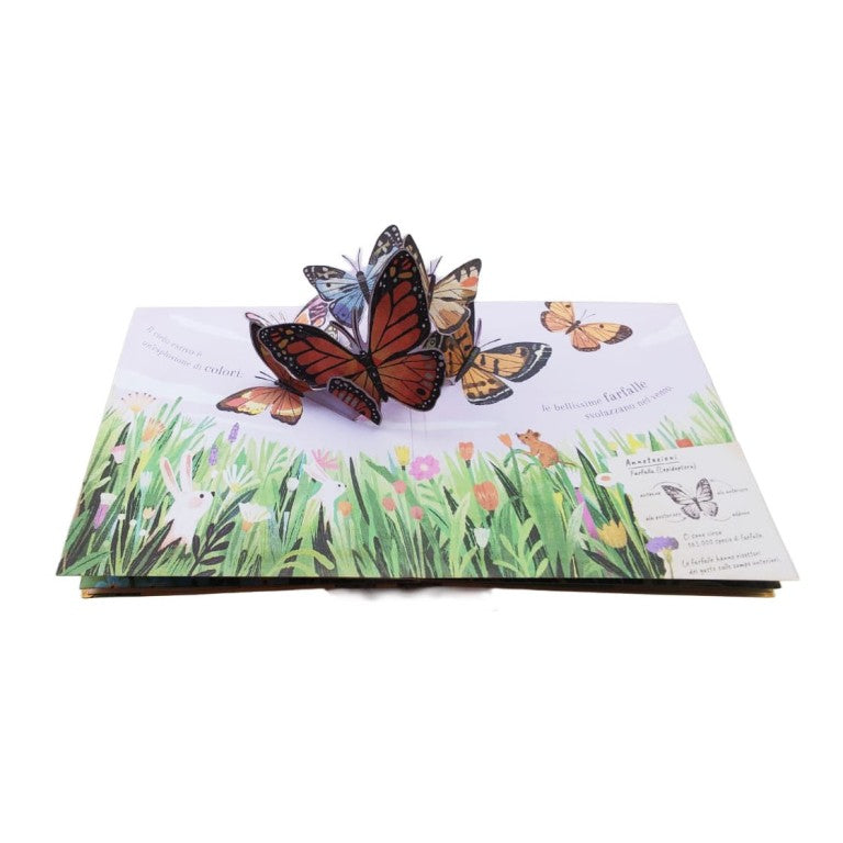 Sassi Yunior Editore - Pop-up della natura. Piccole creature