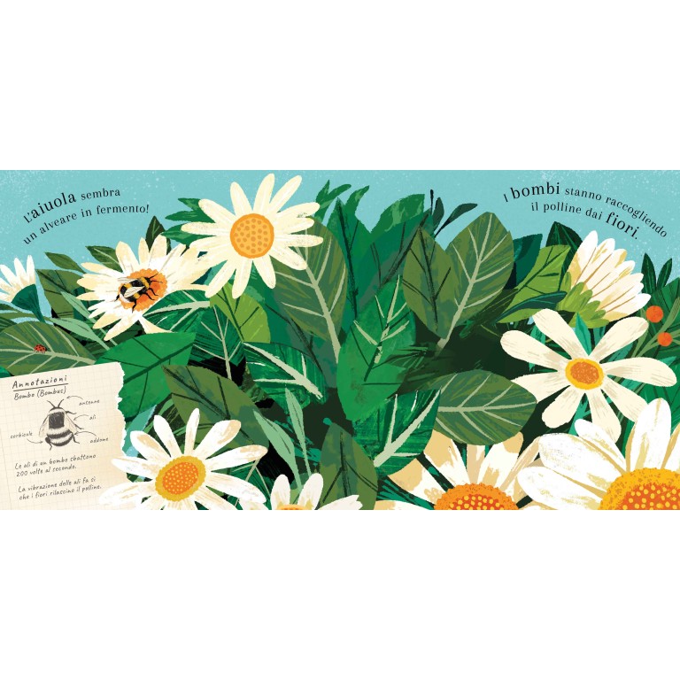 Sassi Yunior Editore - Pop-up della natura. Piccole creature