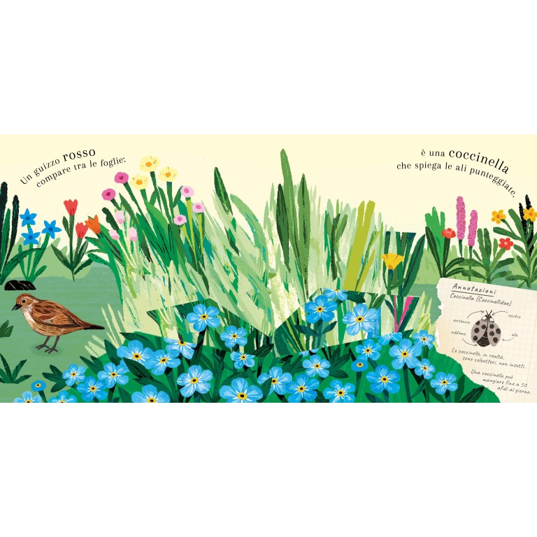 Sassi Yunior Editore - Pop-up della natura. Piccole creature