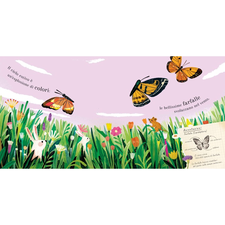Sassi Yunior Editore - Pop-up della natura. Piccole creature