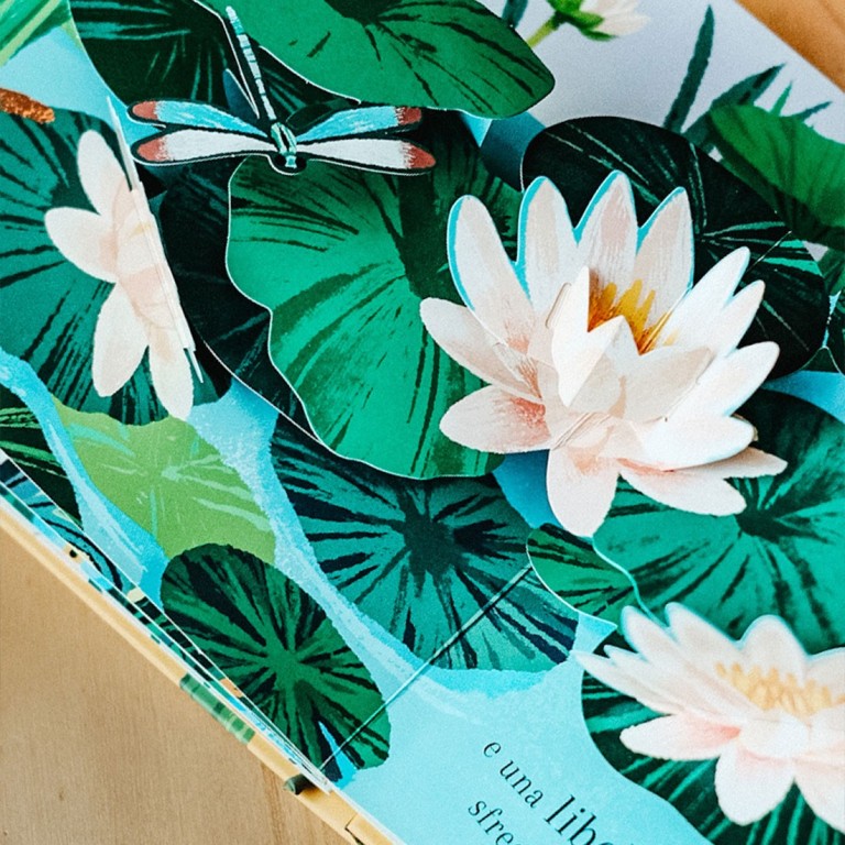 Sassi Yunior Editore - Pop-up della natura. Piccole creature