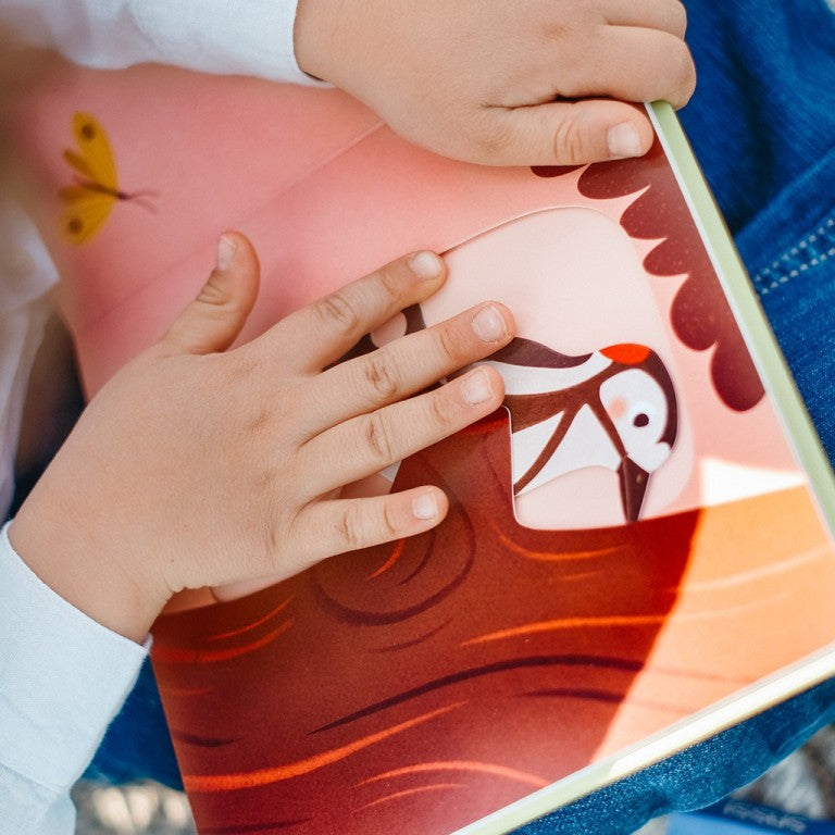 Sassi Editore -Scorri e scopri. Le Stagioni
